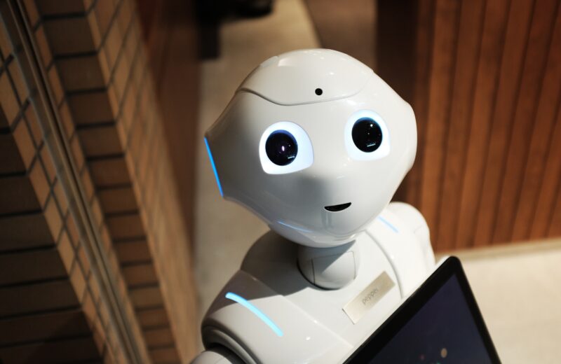 A humanoid robot looking directly at the camera.